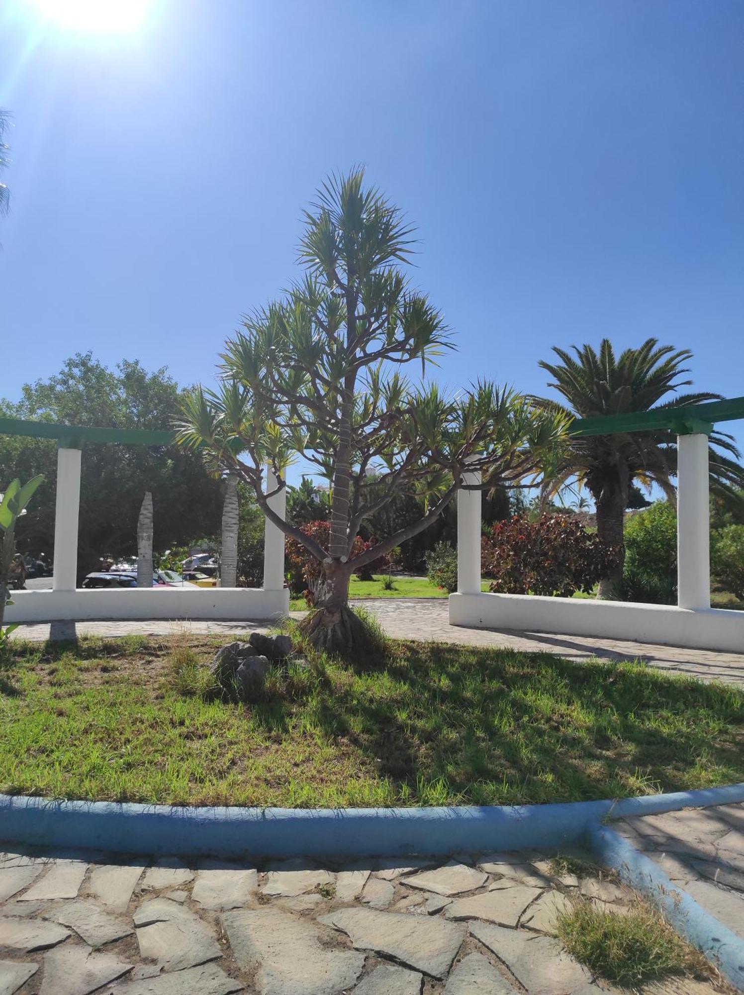 Maria Luxury Apartament Golf Del Sur Tenerife San Miguel de Abona Ngoại thất bức ảnh